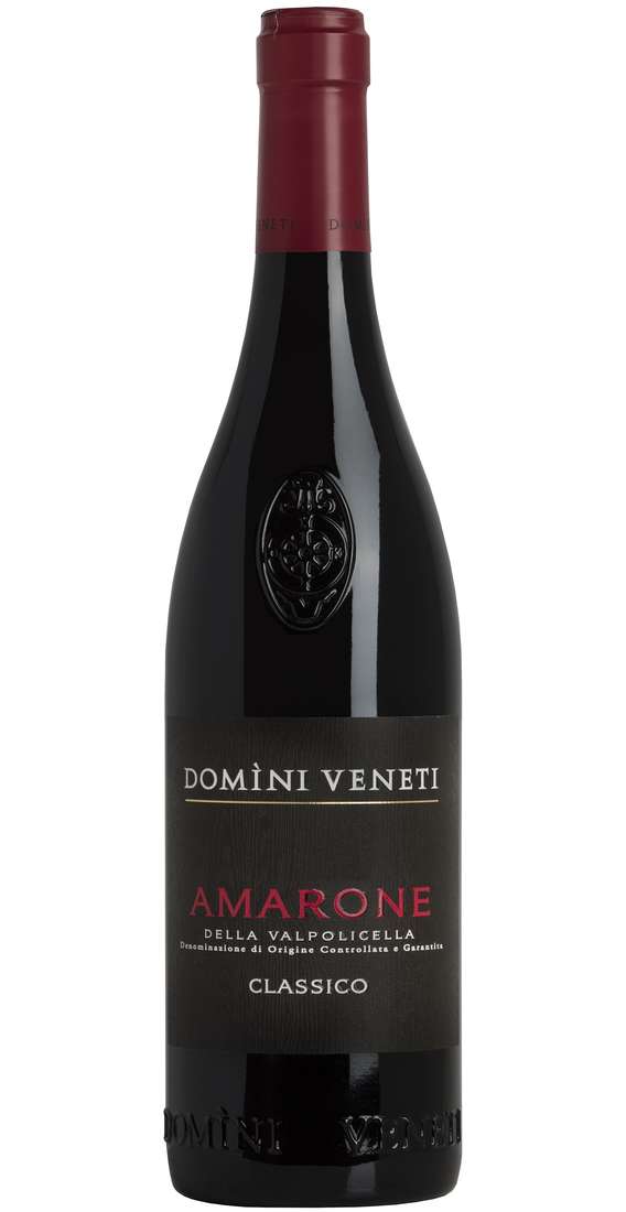 Domini Veneti Amarone Classico DOCG 2021 (1x75cl)