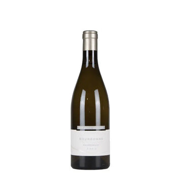 BRUNO COLIN Bourgogne Chardonnay 2021 (1x75cl)