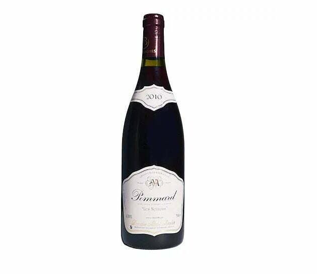 Michel ARCELAIN, Pommard Les Noizons 2010 (1x75cl) - TwoMoreGlasses.com