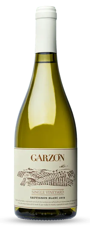 Bodega Garzon Single Vineyard Albarino 2020 (1x75cl) - TwoMoreGlasses.com