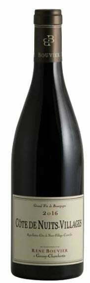 Rene Bouvier Cote de Nuits Villages 2019 (1x75cl) - TwoMoreGlasses.com