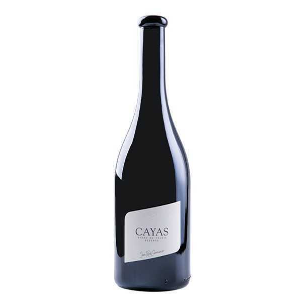 Domaine Jean-Rene Germanier Cayas Syrah 2018 (1x75cl) - TwoMoreGlasses.com